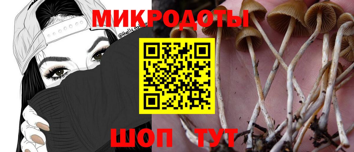 Галлюциногенные грибы мицелий Жигулёвск